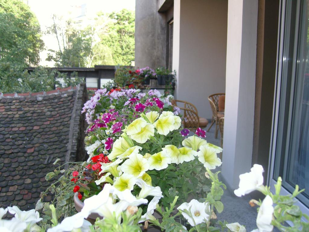 Apartment Deligradska Belgrado Exterior foto